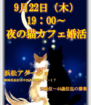 9月22日は浜松猫カフェで婚活イベント女性満席