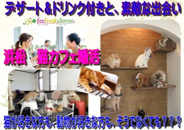 明日は浜松の猫カフェで3年ぶりの婚活