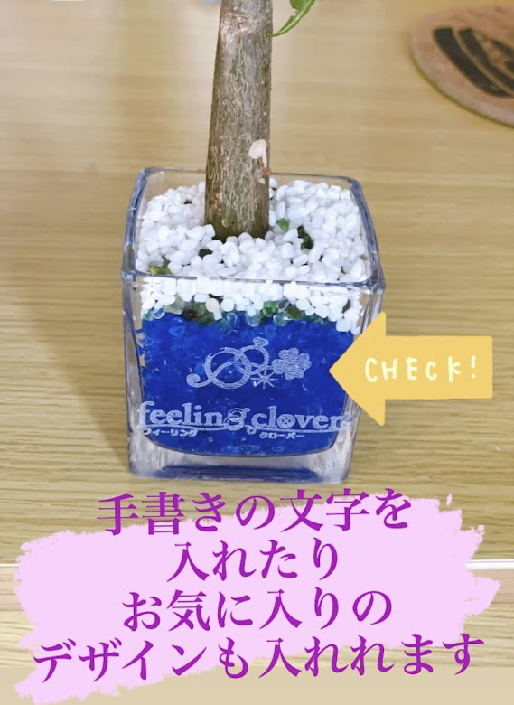 豊橋婚活