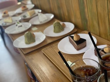 浜松カフェの婚活パーティは12名のご参加と終了後に2時間のお話